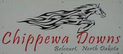 Chippewa Downs