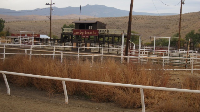 Eastern Oregon Livestock Show